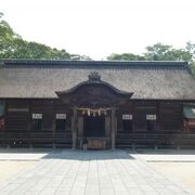 境内にクスノキの巨木がある大山祇神社