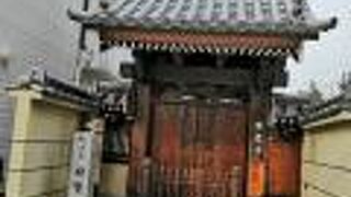 こちらも見れず