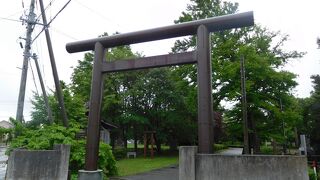 駅近くの散策スポット