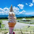 清里のシンボルもコロナ禍で例年より少な目