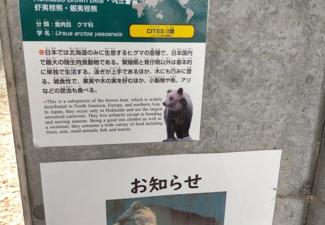 北海道の動物園 クチコミ人気ランキングtop40 フォートラベル 北海道の動物園 クチコミ人気ランキングtop40 フォートラベル