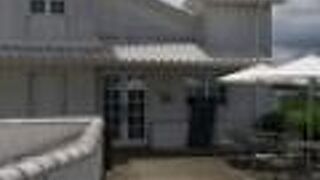 クラブハリエ巡り