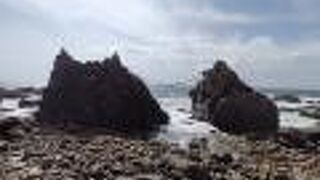 午後は撮影逆光