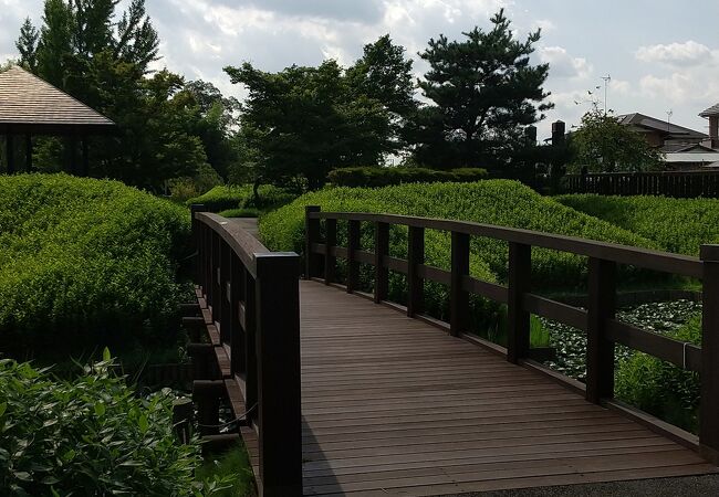 新座 朝霞 和光 志木の公園 植物園 クチコミ人気ランキングtop16 フォートラベル 埼玉県