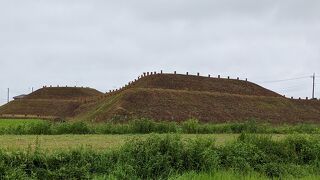 展示は小規模です。