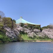 武道館が見えます