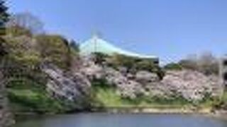 武道館が見えます