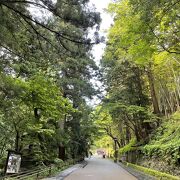 日光ニ荒山神社に向かう参道