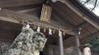 進化していた！