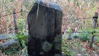 【蓮華の歌・歌碑】江戸時代、不忍池を詠んだ歌碑