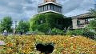 白い恋人パーク ソフトクリームハウス  濃厚です！