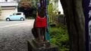 地元の方に大切にされている神社だと感じました。