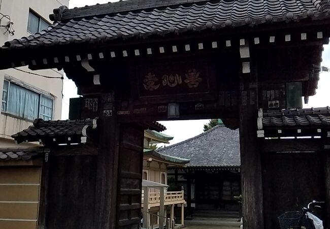 風格のある山門が印象に残っています。