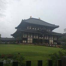 奈良公園（東大寺）