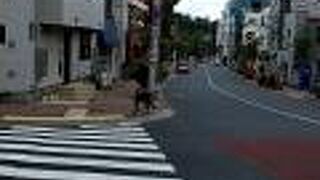 道幅も広くなだらかな坂です。