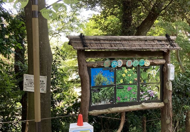 横浜市こども植物園 クチコミ アクセス 営業時間 東神奈川 保土ヶ谷 弘明寺 フォートラベル
