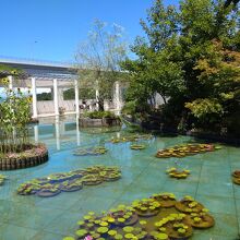 大塚国際美術館