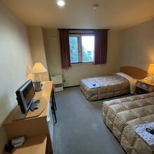 ツインのシングルユースでした。WiFiもあり普通に快適でした