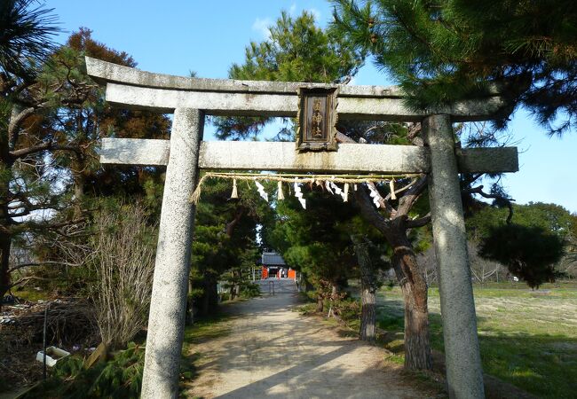 菌神社