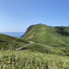 遊歩道を歩くのも気持ちよさそうでした。、