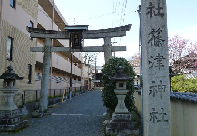 膳所藩に篤く帰依された篠津神社