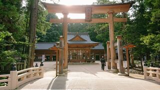 森が素敵な神社