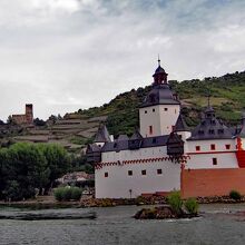 川の中州にあるプファルツ城