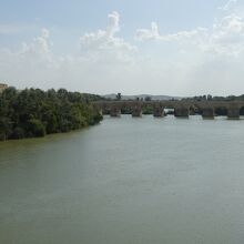 下流側はローマ橋が遠望