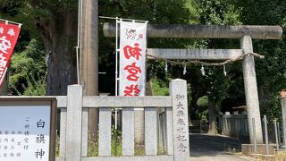 お願いを聞いてくれるそうです