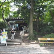 井の頭公園の中