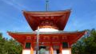 高野山を観光するなら壇上伽藍から