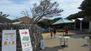 美しい海の面した水族館