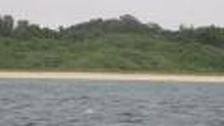 船から見ました