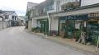 愛知県内で初めて保存地区に指定