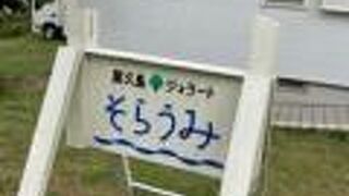 可愛らしい店内