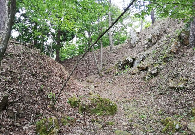 向羽黒山城跡