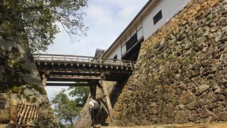 さすがは国宝。天守閣だけではなく、そのほかの櫓や門など城郭そのものが残っています。