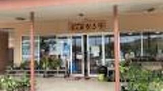 色んな野菜が売ってました。