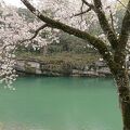 桜淵公園