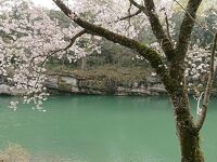 桜淵公園