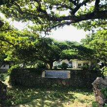 実はここが正面入り口です