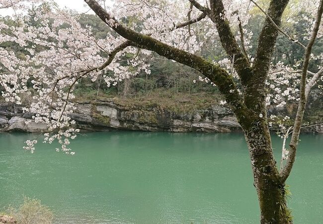 桜淵公園