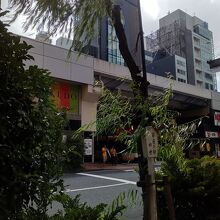 銀座の柳四世