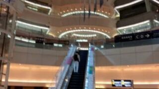 羽田空港の総称