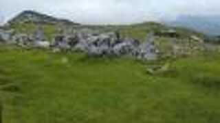 高知と愛媛を行ったり来たり