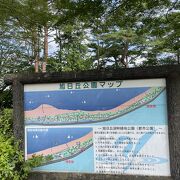 山中湖の湖岸