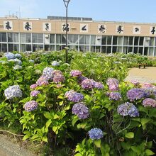 発寒小学校の裏にある春日緑地