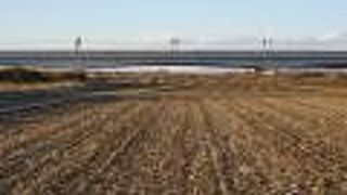 コスモスの季節がお勧めです