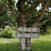 意外と遊べる公園