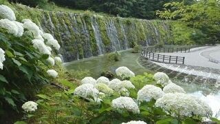 エクシブ山中湖３連泊　花の都公園　清流の里